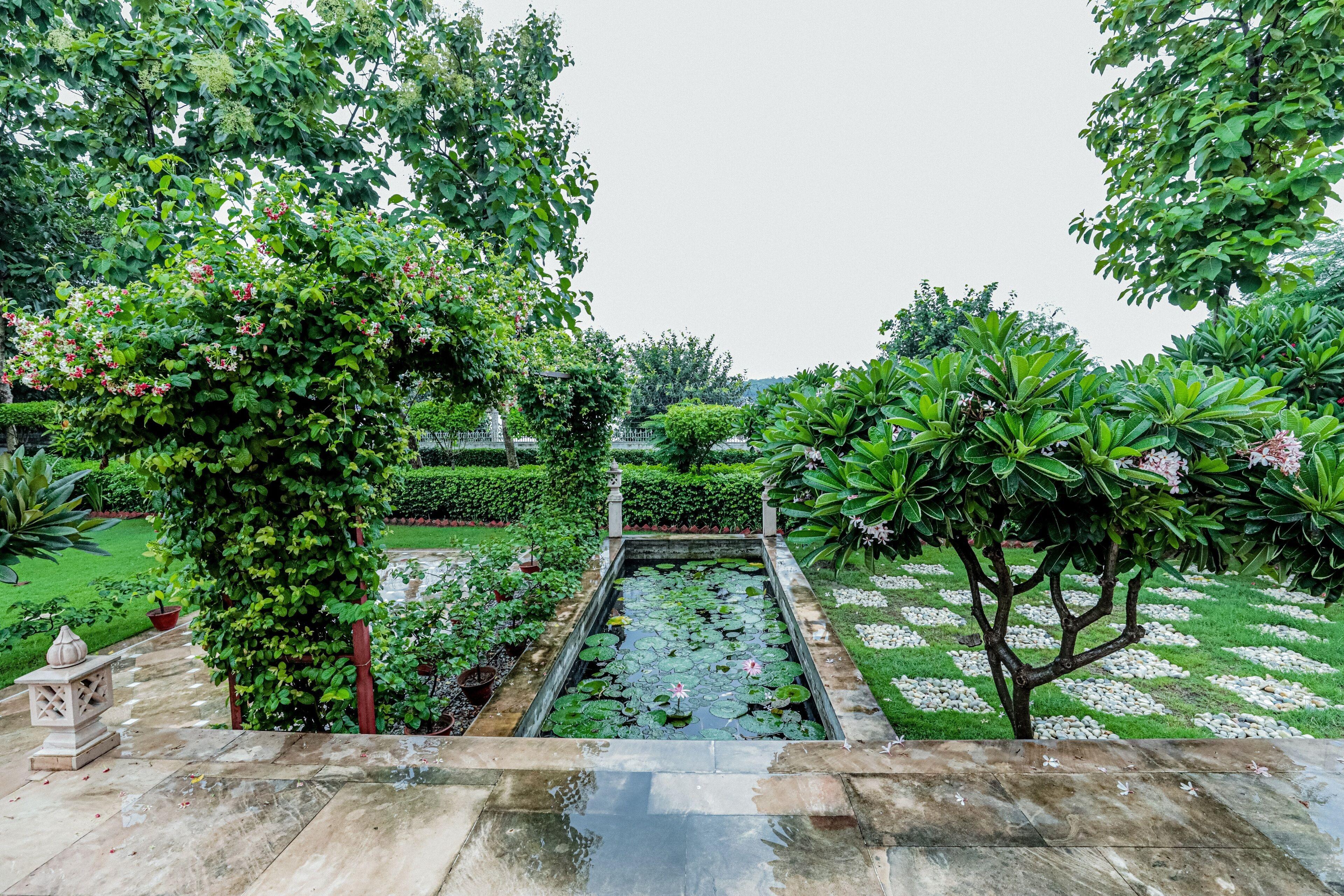 Saptapuri By Royal Orchid Hotels Limited Varanasi — Photos 3